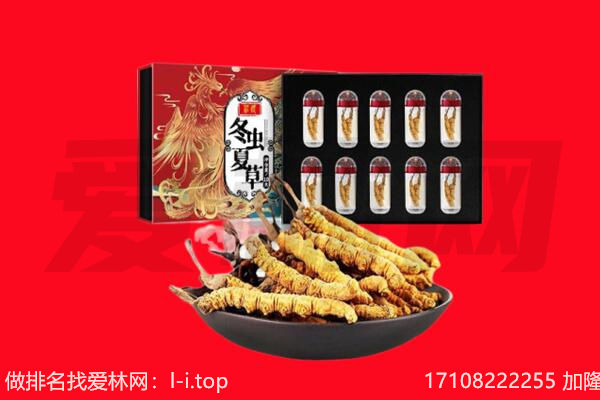 临夏广河县回收虫草.jpg